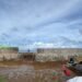 La invasión del sargazo: Planta eléctrica AES Andrés al borde del colapso