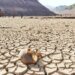 Cambio climático: ¿Quién paga la cuenta cuando la verdad es negada?