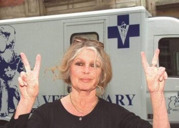 ¡Brigitte Bardot sale del hospital y regresa a su casa de Saint-Tropez!
