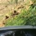 Nagua en shock: Descubren a dos adolescentes sin vida en un vehículo