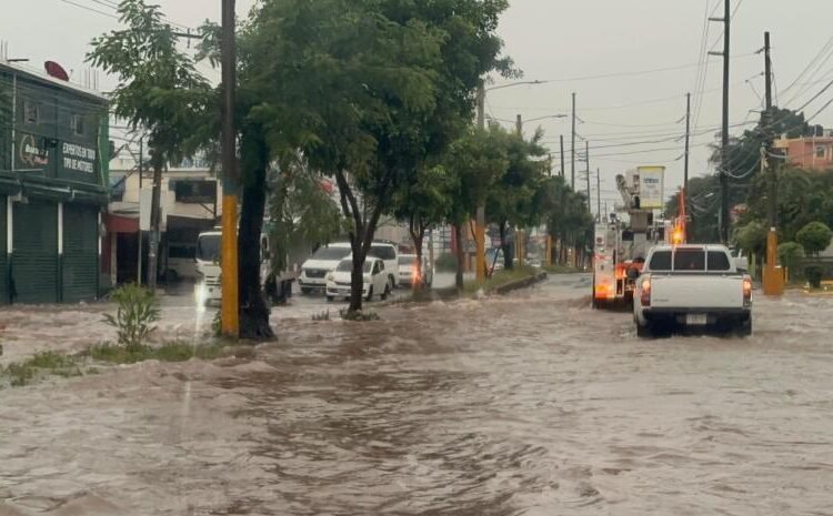 Senadores: ¡Emergencia activada si el Ejecutivo lo requiere