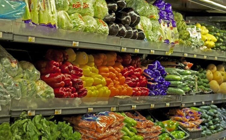 ProDominicana Potencia Agroexportación Dominicana en Fruit Logistica Alemania ¡Oportunidad Global!
