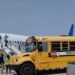 Cumplieron su condena: ICE repatria 41 dominicanos de prisiones de EE UU