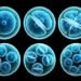 Investigación Desbloquea el Rol Clave de Células Madre en Terapias y Medicina Regenerativa