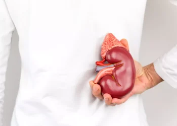 Trasplante de Riñón: La Vida sin Filtros con un Órgano Ajeno