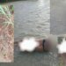 Puerto Rico exige justicia tras brutal hallazgo de haitianas decapitadas en la frontera domínico-haitiana