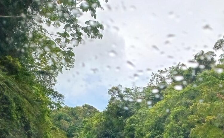 Polvo del Sahara calor extremo y pocas lluvias pronostica Indomet para este viernes