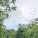 Polvo del Sahara calor extremo y pocas lluvias pronostica Indomet para este viernes
