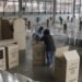 Bienvenidos a la oclotiranía cuando el autoritarismo se camufla en la democracia