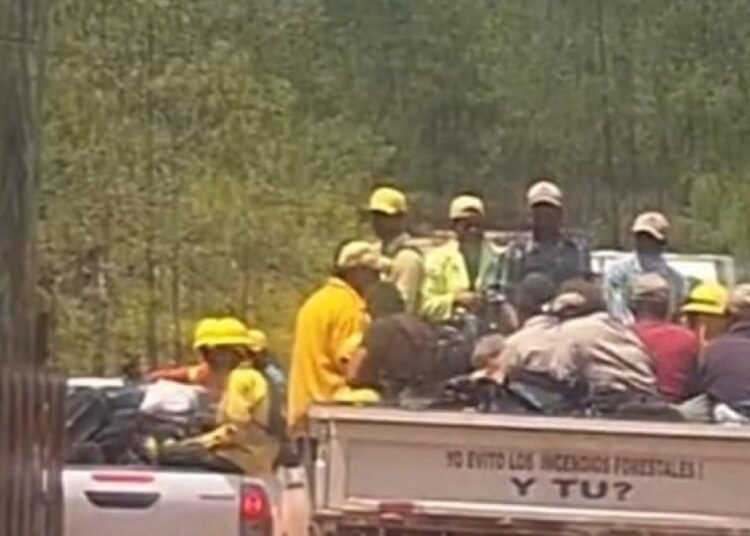 Controlan devastador incendio en la Sierra de Bahoruco tras seis dias de intenso trabajo