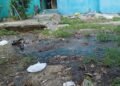 Crisis sanitaria en Los Alcarrizos por pozos sépticos desbordados que obligan a familias a huir