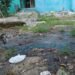 Crisis sanitaria en Los Alcarrizos por pozos sépticos desbordados que obligan a familias a huir