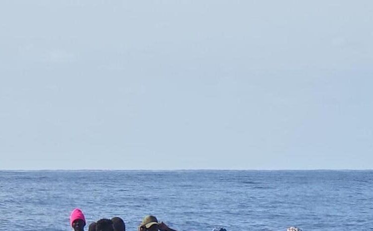 Armada intercepta embarcación con 38 haitianos en aguas dominicanas tras alerta aérea