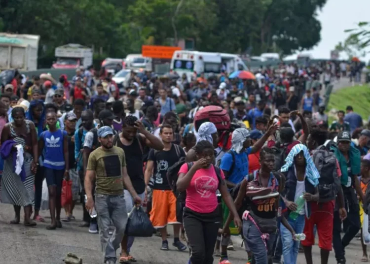 La crisis de desplazamiento en Haiti se extiende y ya afecta a 15 millones de personas