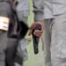 Aumento de presuntos intercambios de disparos en RD enciende alarmas en septiembre