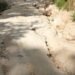 Comunidades de Angosto en Jarabacoa exigen urgente reconstrucción de carretera y puente por pérdidas agrícolas