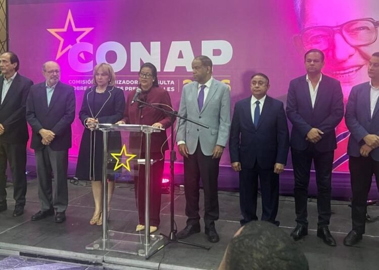 PLD suspende consulta presidencial de octubre y reprograma proceso para 2027 tras negativa de equipos