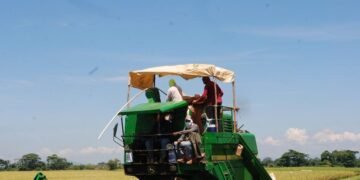 Alerta en Montecristi: Temen crisis y pérdida de 15,000 empleos por arroz sin aranceles