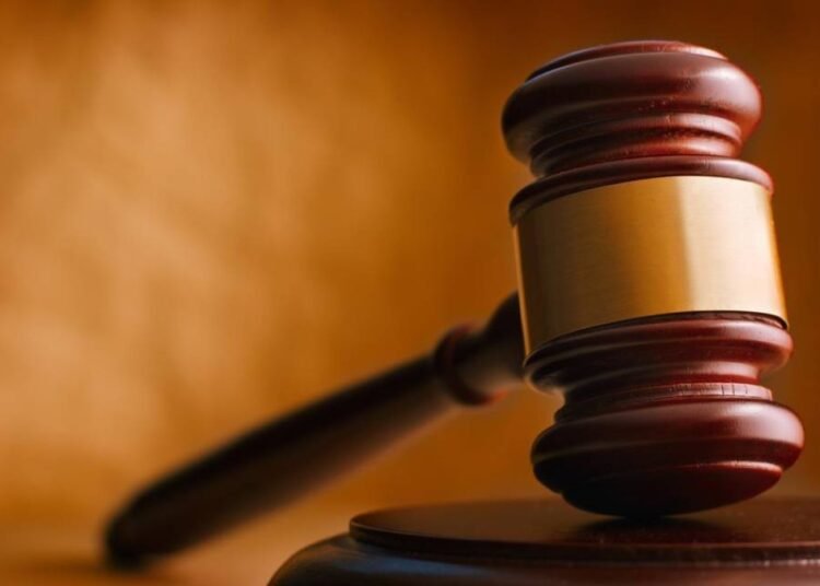 Tribunal impone garantía económica a cuatro personas por tala ilegal en Monte Plata