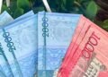 Día Internacional de los Cuidados: trabajadores del sector ganan menos del salario mínimo en América Latina
