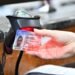 Nuevas compensaciones del Intrant para la licencia de conducir de adultos mayores de 65 años