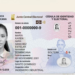 Nuevos métodos y sin cita previa para renovar la cédula dominicana en el exterior