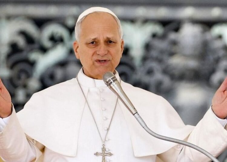 El papa León XVI retoma sus labores en el hospital tras su operación de cáncer de pulmón