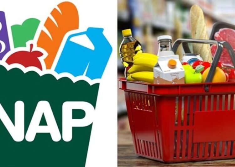 Aumento del SNAP en Estados Unidos beneficia a miles de dominicanos