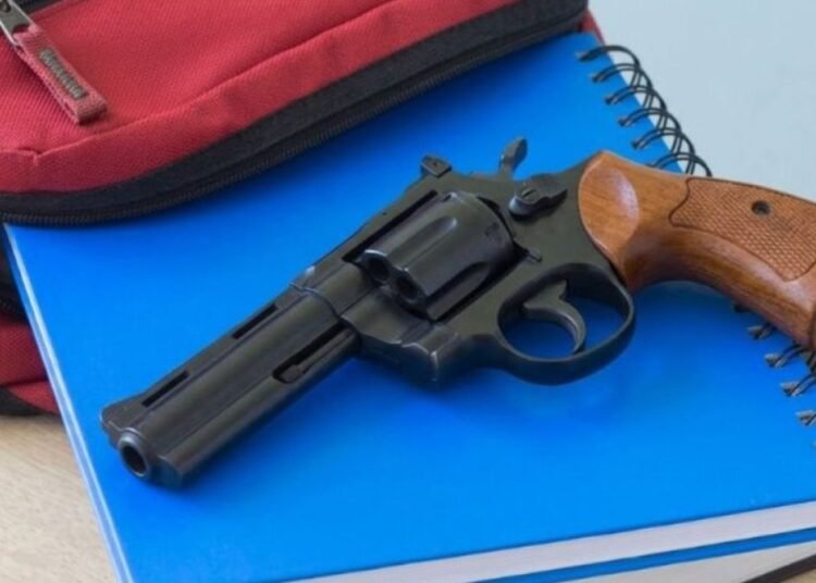 Alarma en Nueva York por incautación de armas de fuego en escuelas públicas