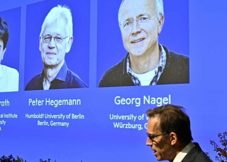 Premio Nobel de Medicina 2026 otorgado a Deisseroth Hegemann y Nagel por revolucionar la optogenética