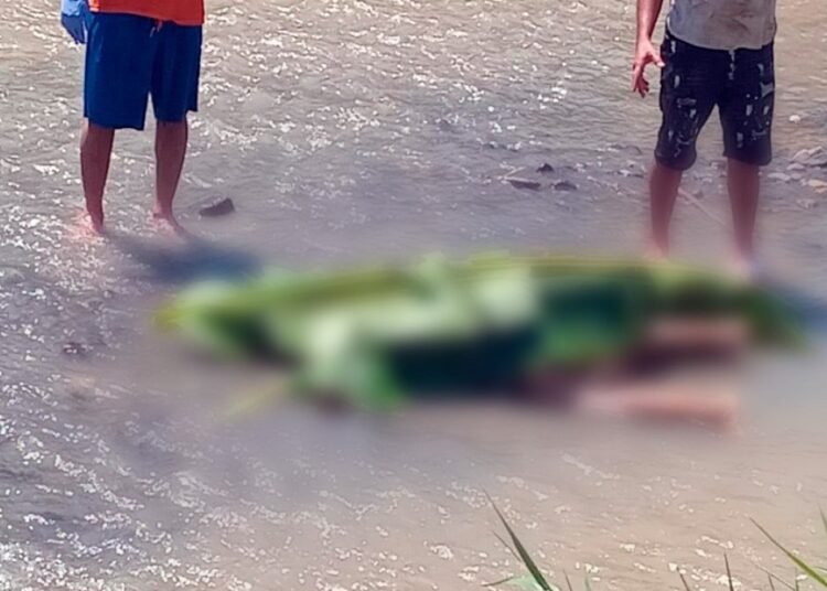 Trágico final: hallan sin vida en el río Yaque del Norte a Yosnely Álvarez, adolescente reportada como desaparecida en Navarrete