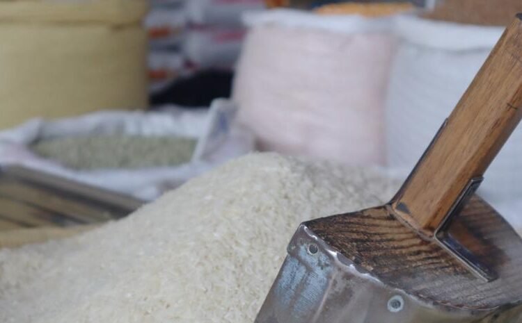 Sector arrocero en alerta total tras la eliminación de aranceles a la importación de arroz