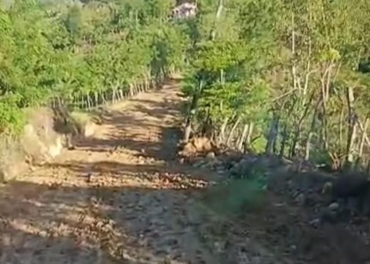 Indignación en Salcedo por pésimo estado de carretera a Río Partido tras usar lodo en vez de material