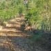 Indignación en Salcedo por pésimo estado de carretera a Río Partido tras usar lodo en vez de material