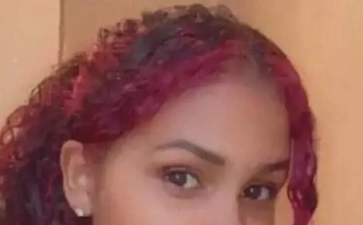 Tragedia en El Bronx: joven dominicana muere tras ser empujada con su bebé desde un piso 15