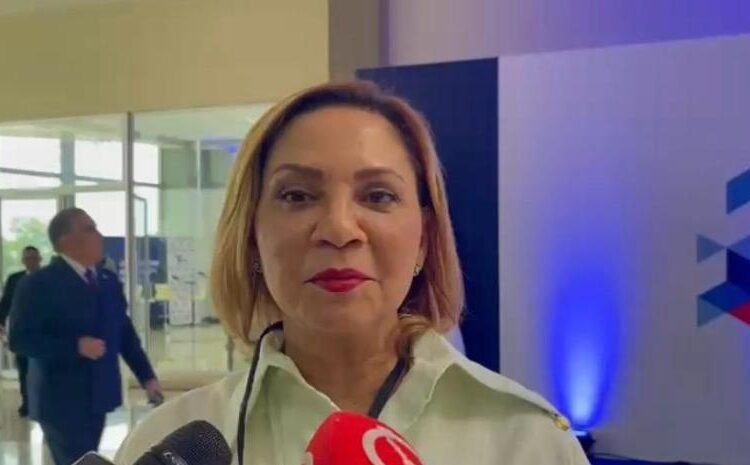 Diputada califica de traición a la Patria caso de municiones dominicanas en Haití
