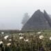 Llega el frio extremo: Reportan bajas temperaturas y niebla en las zonas montanosas de Republica Dominicana