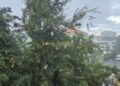 Sábado lluvioso: estas provincias están bajo alerta por fuertes aguaceros y tormentas eléctricas