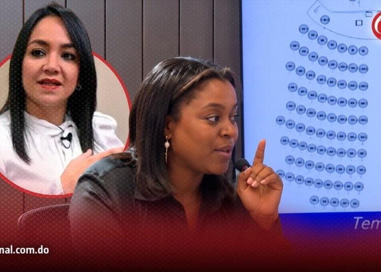 Diputada agredida por la policía arremete contra Faride Raful por su silencio