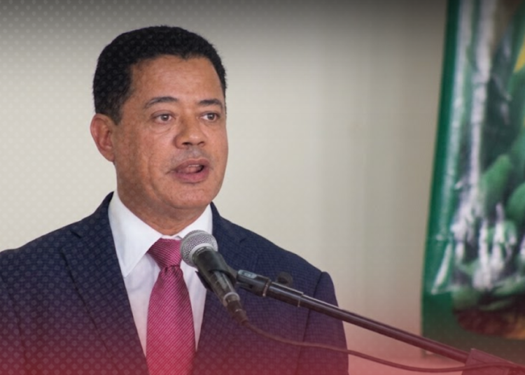 Confenagro critica al Gobierno por comprar pollo importado y descuidar al productor local