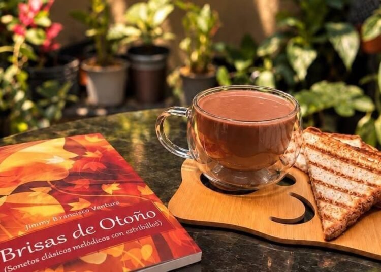 Centro Cultural Casa Libros RD: Un oasis de lectura, café y naturaleza en Santo Domingo