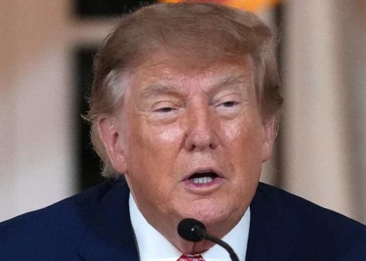 Elon Musk reactiva Starlink en Ucrania tras la supuesta llamada de Donald Trump