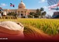 Gobierno califica de seguridad nacional la protección del arroz frente a Estados Unidos