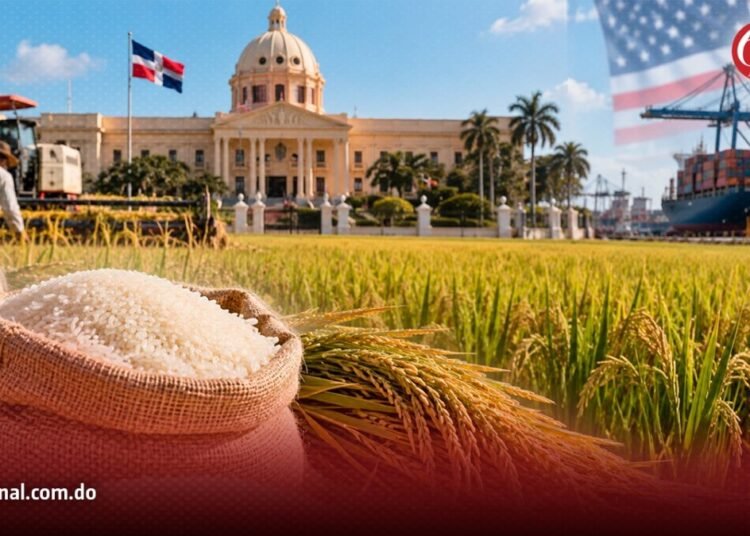 Gobierno califica de seguridad nacional la protección del arroz frente a Estados Unidos