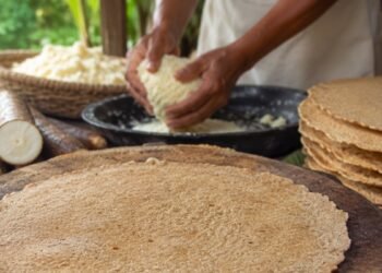 La fascinante historia del casabe de alimento sagrado taino a provision secreta de piratas