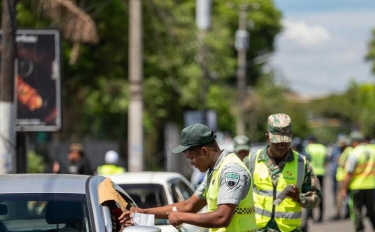 DGII proyecta recaudar RD$4700 millones con el nuevo marbete y un incremento histórico