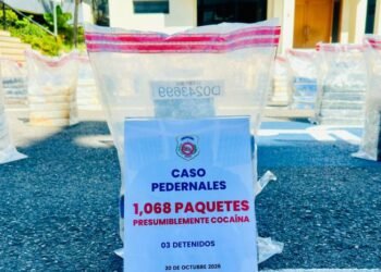 DNCD confisca más de una tonelada de cocaína en Pedernales y arresta a tres colombianos