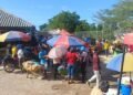 Comercio entre Pedernales y Haití se dinamiza con venta masiva de cemento, varillas y alimentos