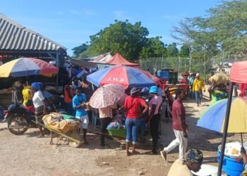 Comercio entre Pedernales y Haití se dinamiza con venta masiva de cemento, varillas y alimentos