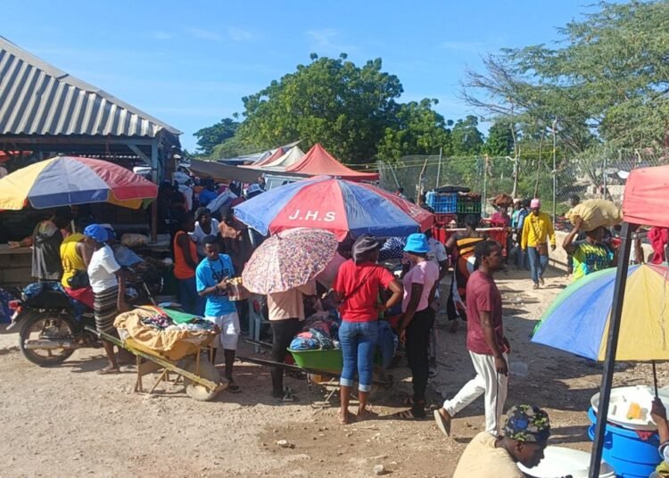 Comercio entre Pedernales y Haití se dinamiza con venta masiva de cemento, varillas y alimentos